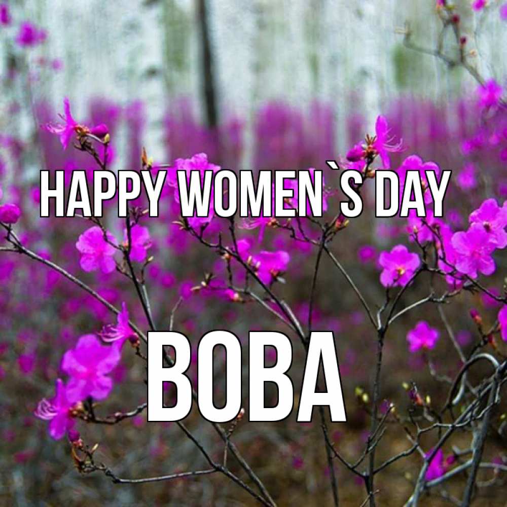 Greetings card с именем, Вова happy women`s day дикие цветы Greetings with text for free download 